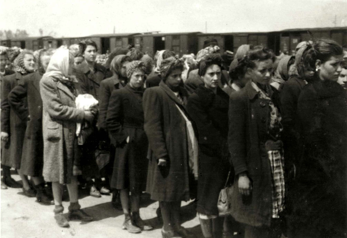  Jüdische Frauen aus Transkarpatien, die in Auschwitz-Birkenau in mehreren Reihen hintereinander stehen